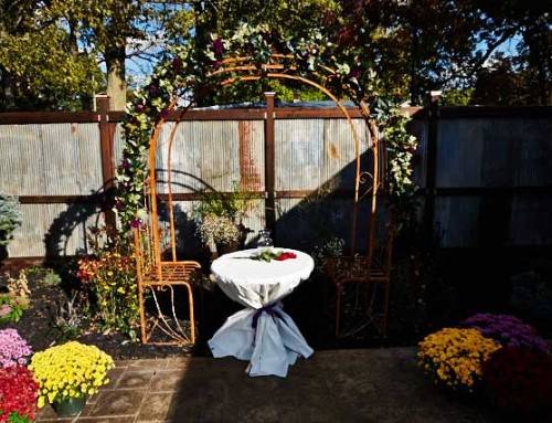 Clarissa Doty & Kameron Burbridge :: Outdoor Wedding Ceremony & Reception